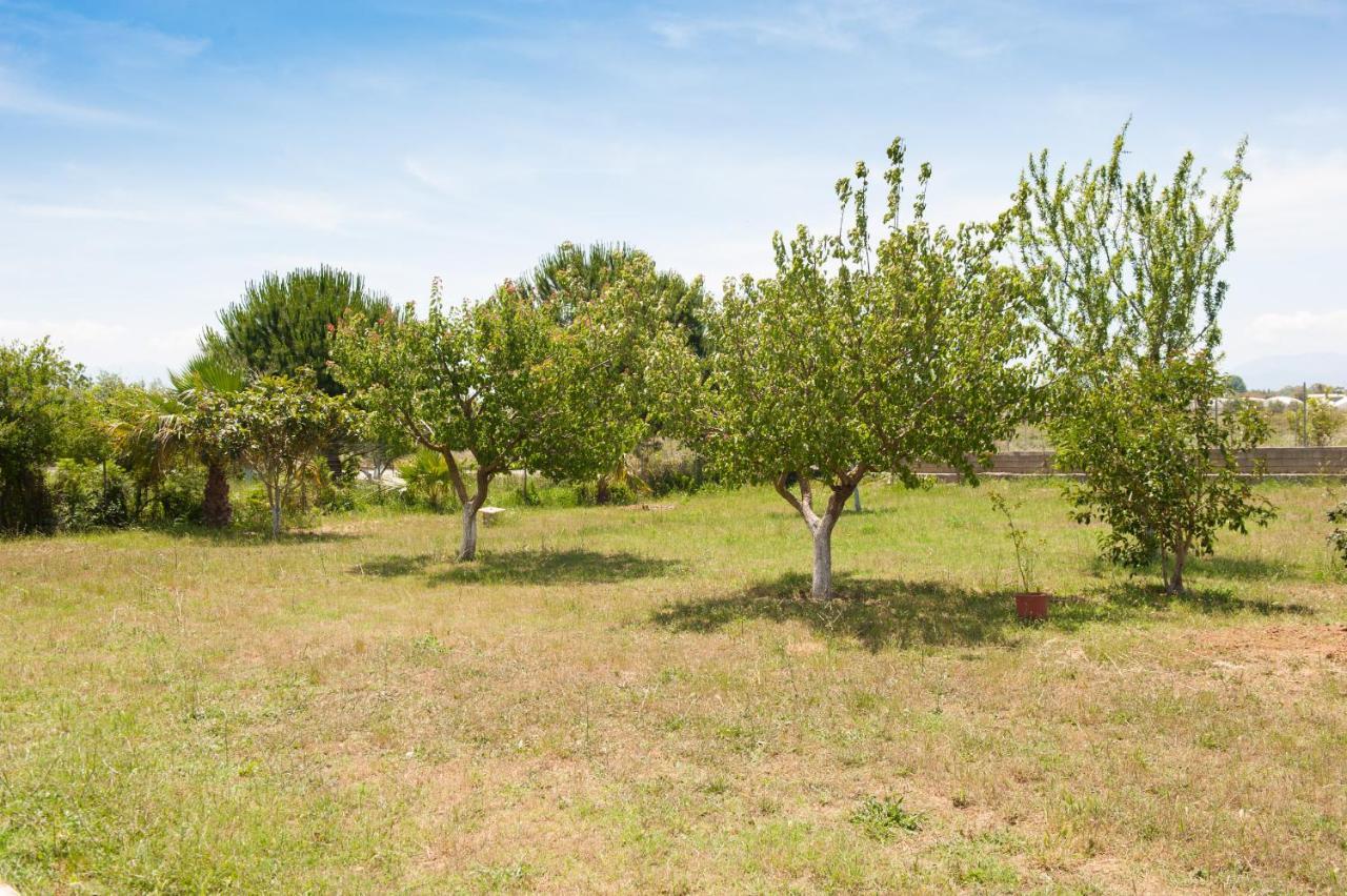 Olives Estate Apartments Grande Préveza Kültér fotó