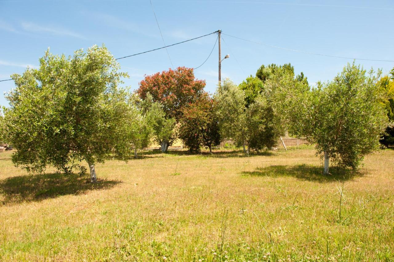 Olives Estate Apartments Grande Préveza Kültér fotó