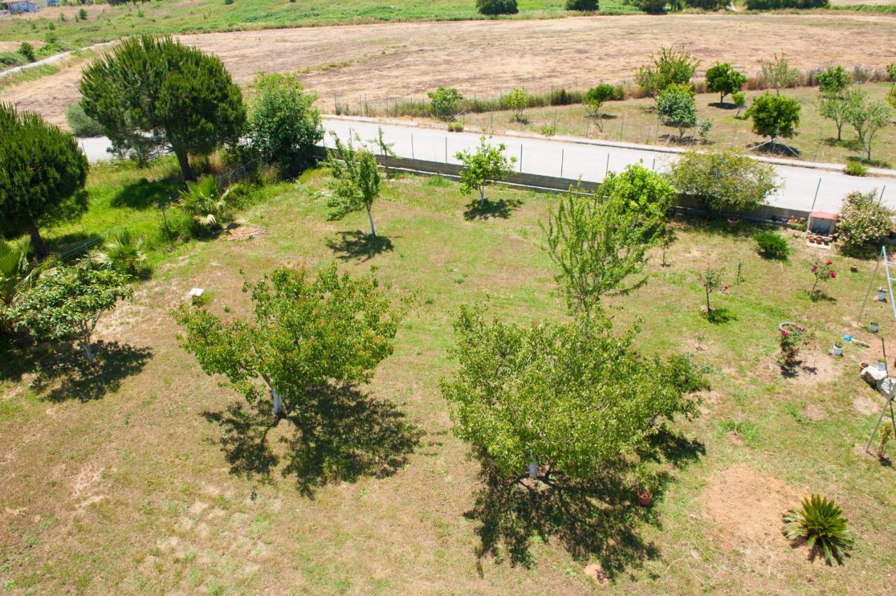 Olives Estate Apartments Grande Préveza Kültér fotó
