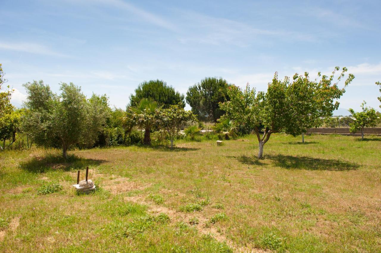 Olives Estate Apartments Grande Préveza Kültér fotó