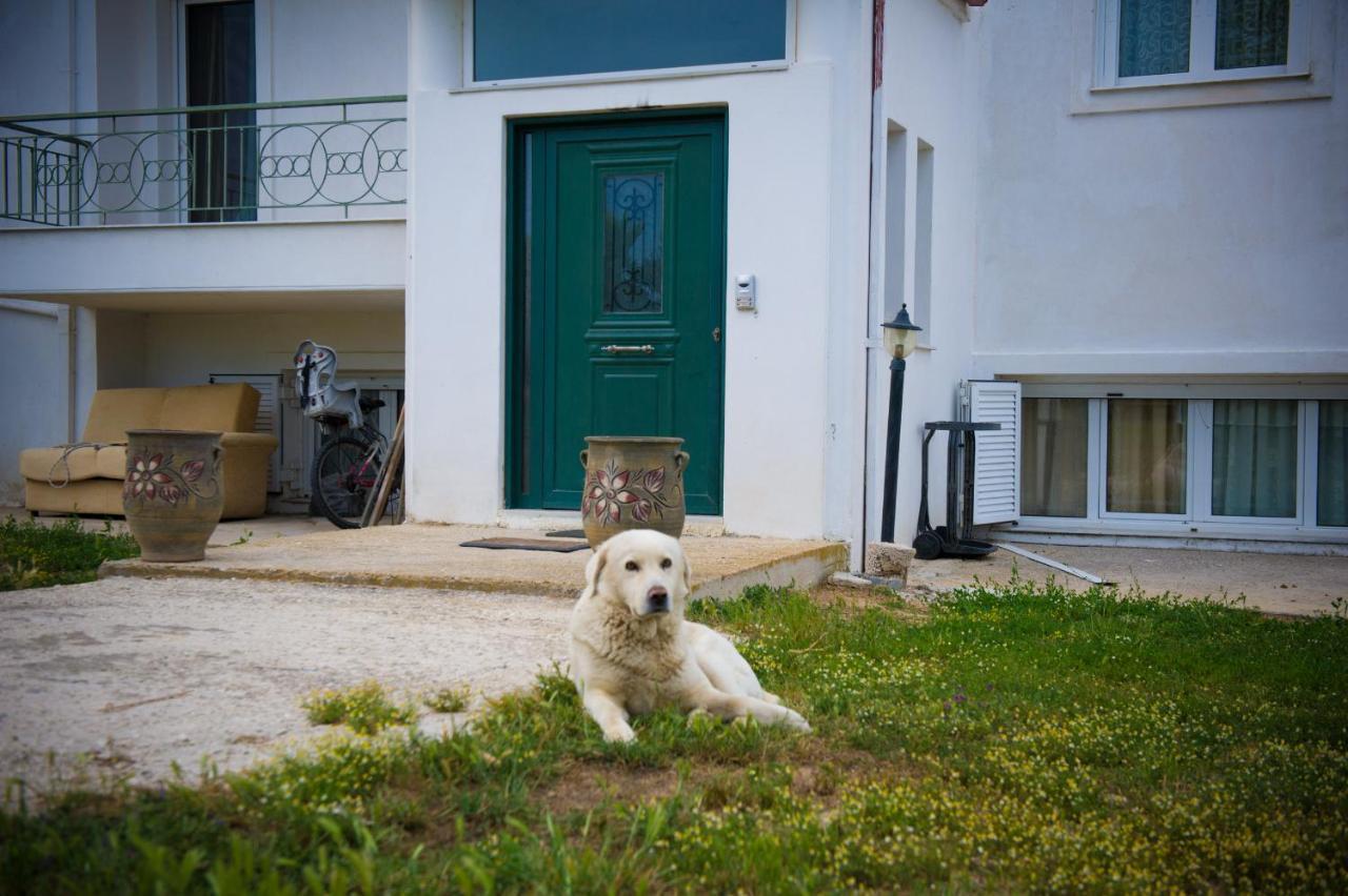 Olives Estate Apartments Grande Préveza Kültér fotó